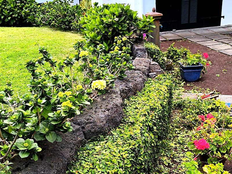 Jardim particular com sebes, muro de pedra basáltica e casa açoriana branca